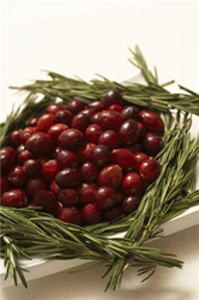 Christmas just isn't the same without cranberries!